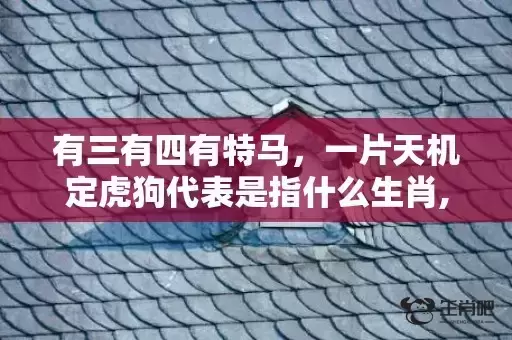 有三有四有特马，一片天机定虎狗代表是指什么生肖,答案曝光落实
