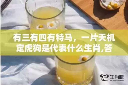 有三有四有特马，一片天机定虎狗是代表什么生肖,答案曝光落实