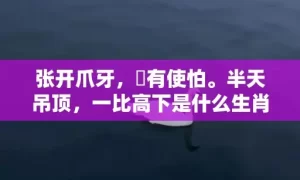 张开爪牙，冇有使怕。半天吊顶，一比高下是什么生肖,答案曝光落实