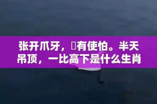 张开爪牙,冇有使怕。半天吊顶,一比高下是什么生肖,答案曝光落实 张开爪牙,冇有使怕。半天吊顶,一比高下是什么生肖,答案曝光落实