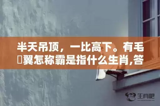 半天吊顶，一比高下。有毛冇翼怎称霸是指什么生肖,答案曝光落实