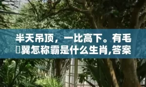 半天吊顶，一比高下。有毛冇翼怎称霸是什么生肖,答案曝光落实