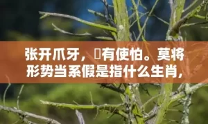 张开爪牙，冇有使怕。莫将形势当系假是指什么生肖,答案曝光落实