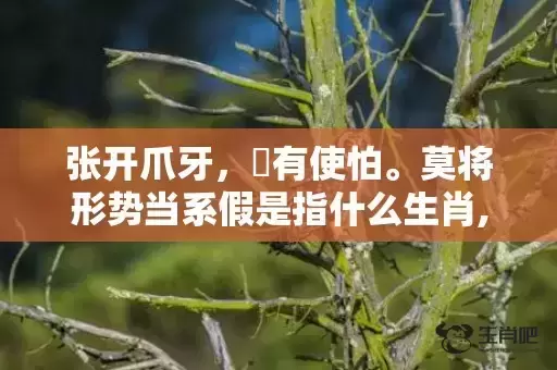 张开爪牙,冇有使怕。莫将形势当系假是指什么生肖,答案曝光落实 张开爪牙,冇有使怕。莫将形势当系假是指什么生肖,答案曝光落实