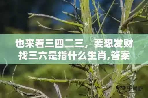 也来看三四二三,要想发财找三六是指什么生肖,答案曝光落实 也来看三四二三,要想发财找三六是指什么生肖,答案曝光落实