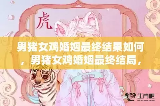 男猪女鸡婚姻最终结果如何，男猪女鸡婚姻最终结局，属鸡人与属猪人婚配指数