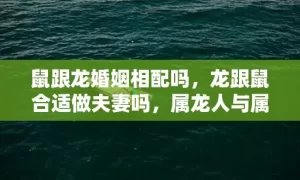 鼠跟龙婚姻相配吗，龙跟鼠合适做夫妻吗，属龙人与属鼠人婚配指数