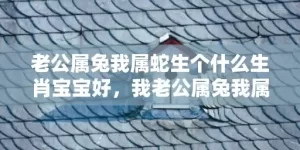 老公属兔我属蛇生个什么生肖宝宝好，我老公属兔我属蛇是不是吉日，兔男和蛇女婚配指数高吗