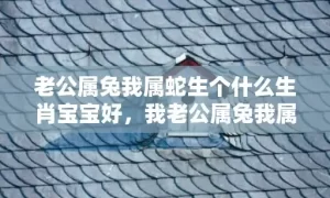 老公属兔我属蛇生个什么生肖宝宝好，我老公属兔我属蛇是不是吉日，兔男和蛇女婚配指数高吗