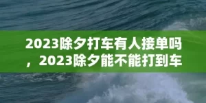 2023除夕打车有人接单吗，2023除夕能不能打到车