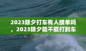 2023除夕打车有人接单吗，2023除夕能不能打到车