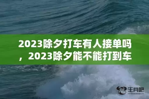 2023除夕打车有人接单吗，2023除夕能不能打到车