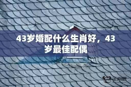 43岁婚配什么生肖好，43岁最佳配偶