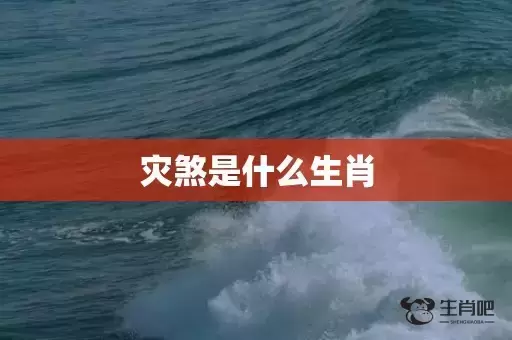 灾煞是什么生肖