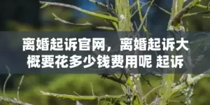 离婚起诉官网，离婚起诉大概要花多少钱费用呢 起诉离婚费用