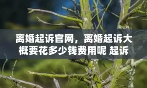 离婚起诉官网，离婚起诉大概要花多少钱费用呢 起诉离婚费用