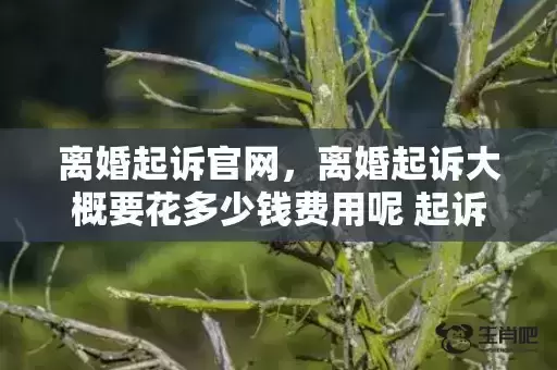 离婚起诉官网，离婚起诉大概要花多少钱费用呢 起诉离婚费用