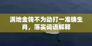 满地金钱不为动打一准确生肖，落实词语解释