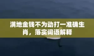 满地金钱不为动打一准确生肖，落实词语解释