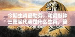 今期生肖最勒劳，和尚敲钟三更起代表是什么生肖，答案曝光落实