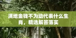 满地金钱不为动代表什么生肖，精选解答落实