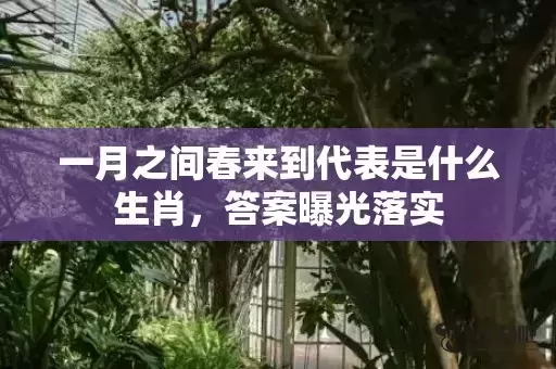一月之间春来到代表是什么生肖,答案曝光落实 一月之间春来到代表是什么生肖,答案曝光落实