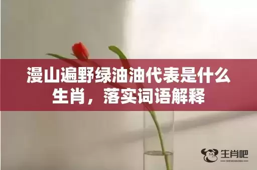 漫山遍野绿油油代表是什么生肖，落实词语解释