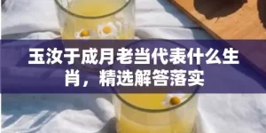 玉汝于成月老当代表什么生肖，精选解答落实