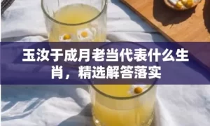 玉汝于成月老当代表什么生肖，精选解答落实