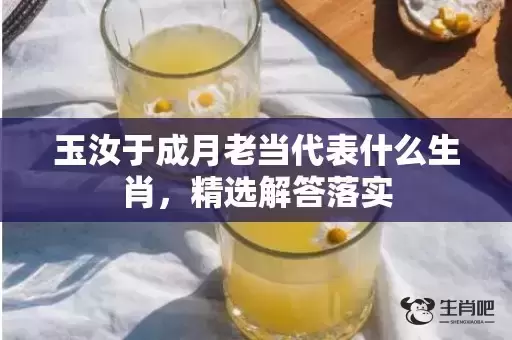玉汝于成月老当代表什么生肖，精选解答落实