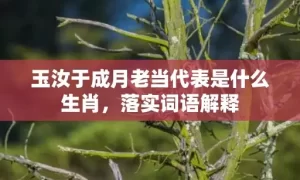 玉汝于成月老当代表是什么生肖，落实词语解释