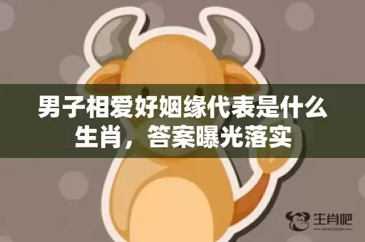 男子相爱好姻缘代表是什么生肖,答案曝光落实 男子相爱好姻缘代表是什么生肖,答案曝光落实