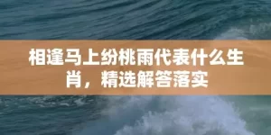 相逢马上纷桃雨代表什么生肖，精选解答落实