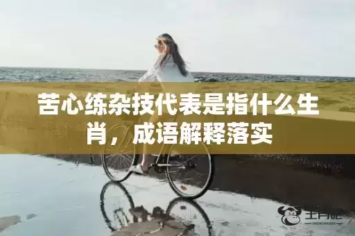 苦心练杂技代表是指什么生肖，成语解释落实