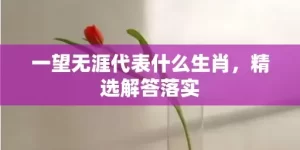 一望无涯代表什么生肖，精选解答落实