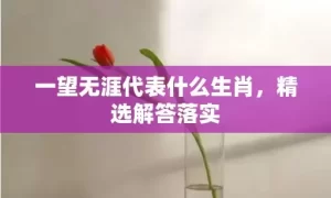 一望无涯代表什么生肖，精选解答落实