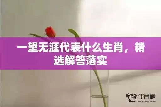一望无涯代表什么生肖，精选解答落实