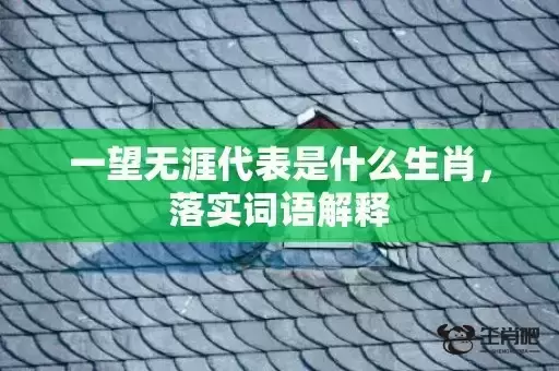 一望无涯代表是什么生肖,落实词语解释 一望无涯代表是什么生肖,落实词语解释