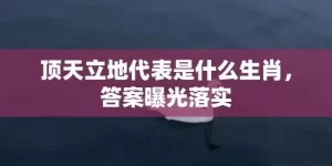 顶天立地代表是什么生肖，答案曝光落实