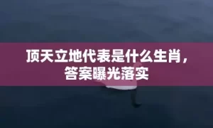 顶天立地代表是什么生肖，答案曝光落实