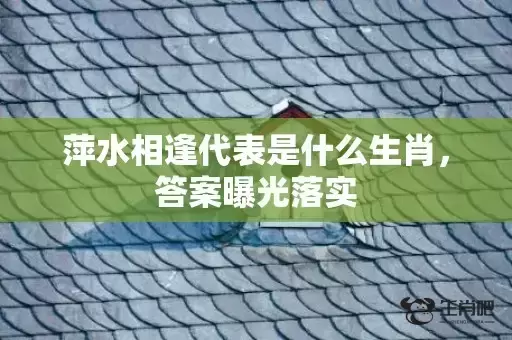 萍水相逢代表是什么生肖，答案曝光落实