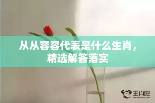 从从容容代表是什么生肖，精选解答落实