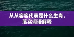 从从容容代表是什么生肖，落实词语解释