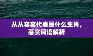 从从容容代表是什么生肖，落实词语解释