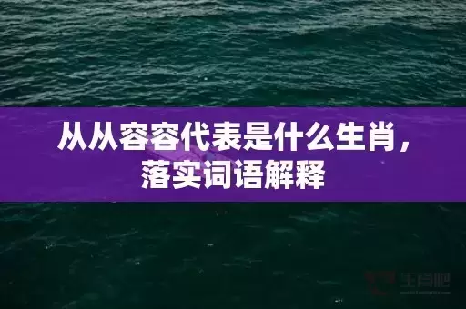 从从容容代表是什么生肖，落实词语解释