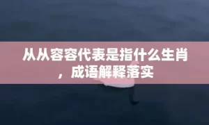 从从容容代表是指什么生肖，成语解释落实