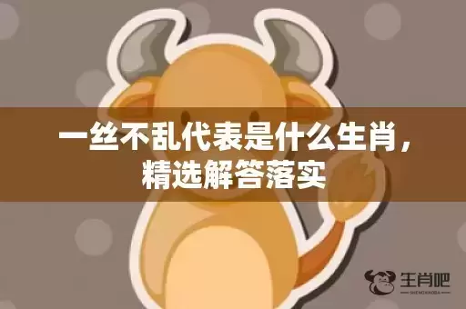 一丝不乱代表是什么生肖，精选解答落实