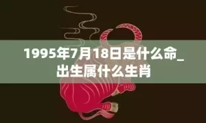 1995年7月18日是什么命_出生属什么生肖