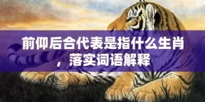 前仰后合代表是指什么生肖，落实词语解释