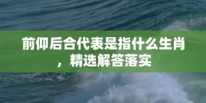 前仰后合代表是指什么生肖，精选解答落实